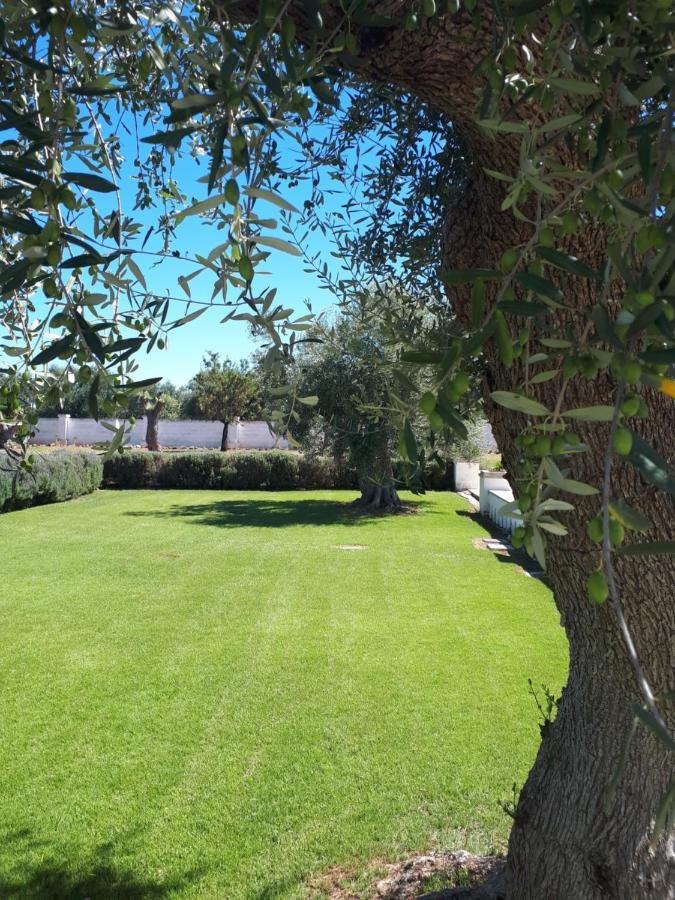 Masseria Bianca Di Puglia 莫诺波利 外观 照片