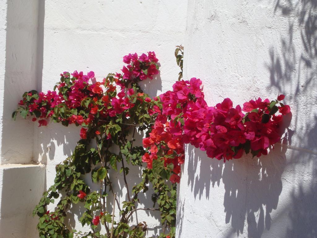 Masseria Bianca Di Puglia 莫诺波利 客房 照片